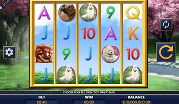 A Bark in the Park Pokie